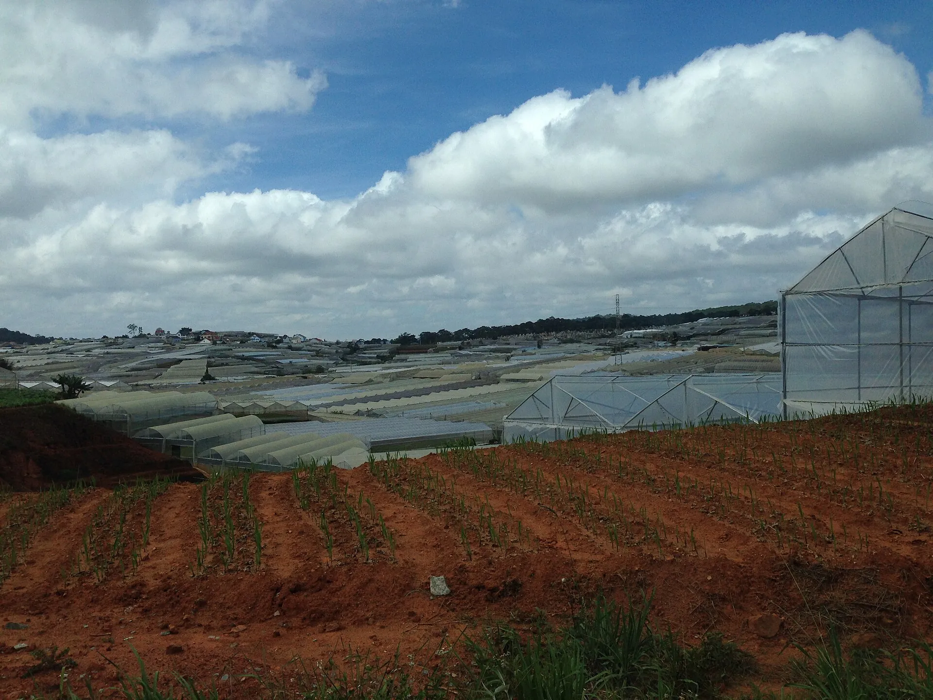 Greenhouse flower farms in the hills around Dalat